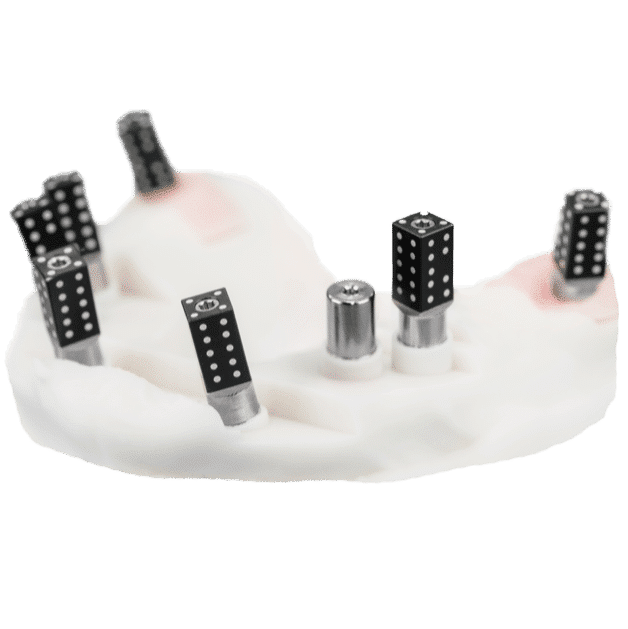 iCam 4D Scan Body "Dominos"